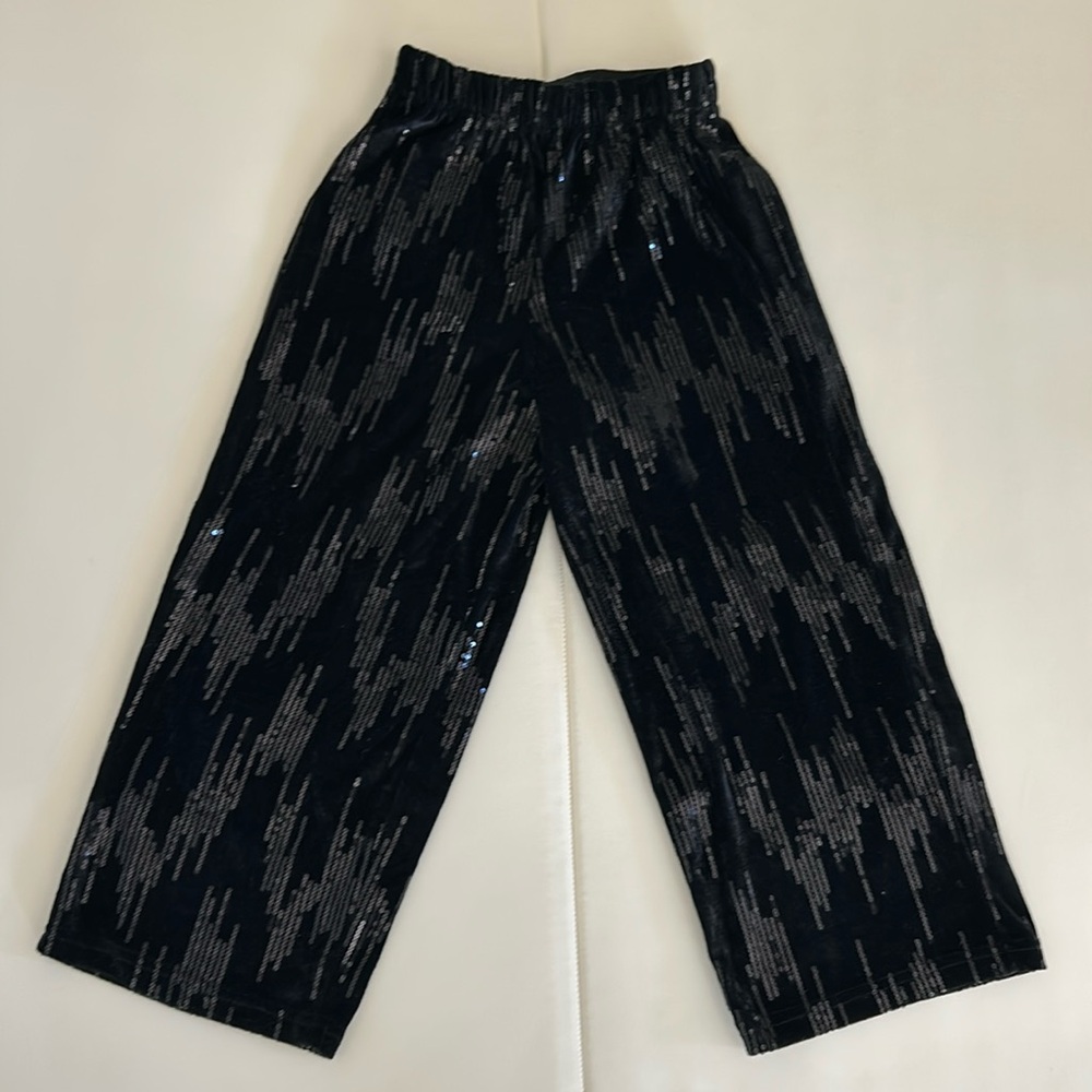 Zara Wide Leg Pants